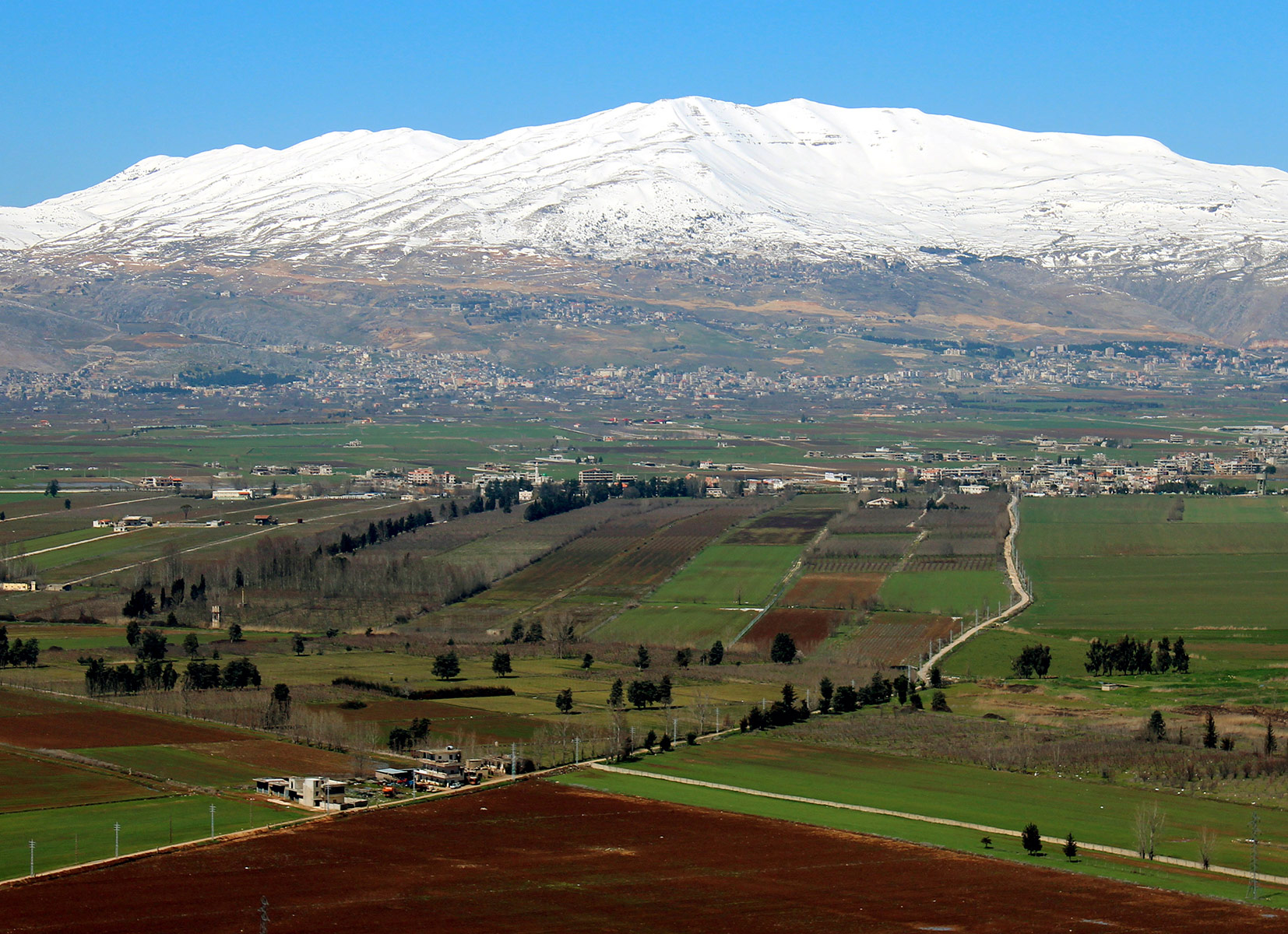 Choose Only The Best